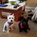 Profile Picture of Nancy Coffelt (@nancy.coffelt.5688) on Facebook