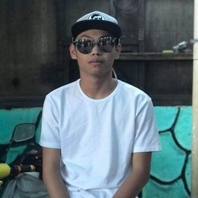 Profile Picture of 𝕻𝖆𝖇𝖘 (@jalenpaul11) on Twitter