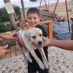 Profile Picture of Vincent Fusaro (@vincent.fusaro) on Instagram