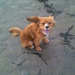 Blake Gifford - Instagram Profile Picture of Blake Gifford (@bgifford247) on Instagram