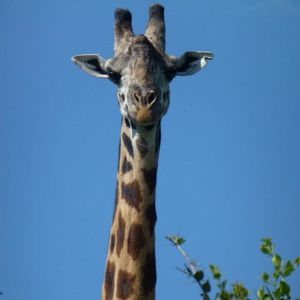 Profile Picture of Karl Marshall (@kmarshall22) on Myspace