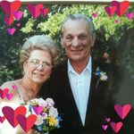 Betty Fogarty - Instagram Profile Picture of Betty Fogarty (@betty.fogarty) on Instagram