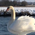 Profile Picture of Doris Wetzel (@wetzeldoris) on Instagram