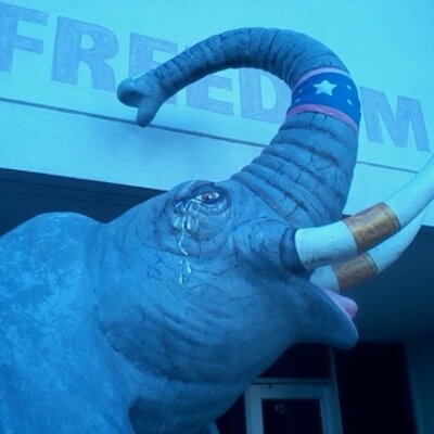 Profile Picture of Karl Quackenbush (@KarlQuackenbush) on Twitter