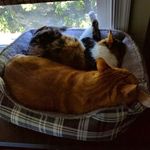 Profile Picture of Paul M. M. D. Jacobus (@paul_jacobus) on Instagram