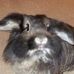 Profile Picture of Paula Hickson (@paula.hickson.18) on Facebook