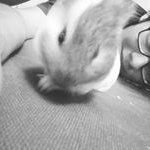 Profile Picture of Victor Laurence Nava Salinas (@laurencenava) on Instagram