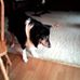 Profile Picture of John Barkey (@john.barkey.94) on Facebook