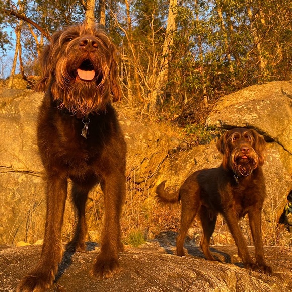 Profile Picture of Will Palmer (@willpalmer653) on Poshmark