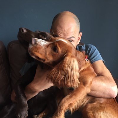Profile Picture of David A Shepherd (@5hep) on Twitter