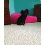 Profile Picture of Gary Ahern (@discurdis) on Instagram