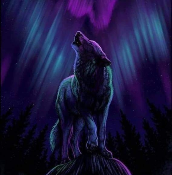 Profile Picture of Steve Tanner (@stevetanner) on Poshmark