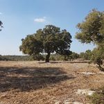 Profile Picture of Matthew Paz (@matthew_paz2000) on Instagram