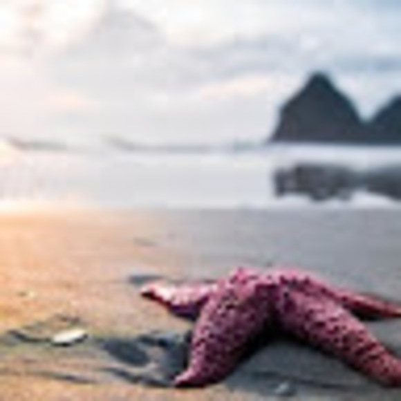 Aubree Ferdon - Poshmark Profile Picture of Aubree Ferdon (@aubree_ferdon) on Poshmark