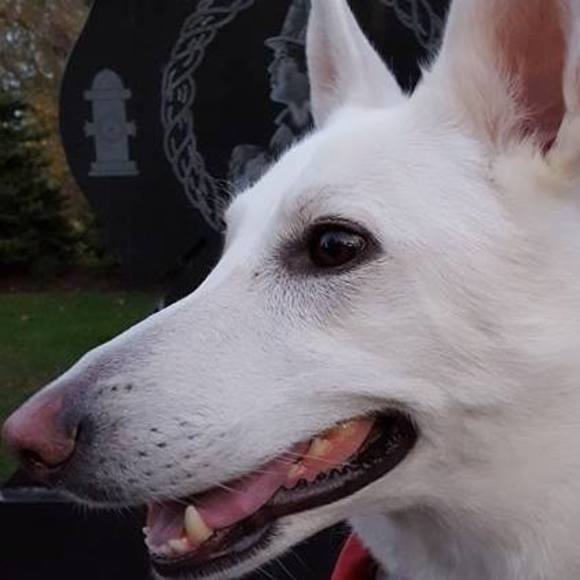 Profile Picture of Al Grice (@deekim93) on Poshmark