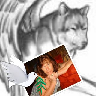 Profile Picture of Tina Landis (@Tina-Landis) on Facebook