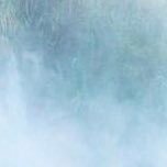 Profile Picture of Carleigh Roberts (@RobertsCarleigh) on Twitter