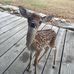 Profile Picture of Margaret Guthrie (@margaret.guthrie.378199) on Facebook
