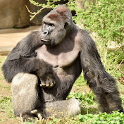 Profile Picture of Jeff Mccurry (@jeffmccurry4543) on Youtube