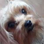 Profile Picture of José Aroca (@jose_aroca07) on Instagram