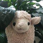 Profile Picture of Lawrence and the Machine (@lawrence_the_sheep) on Instagram