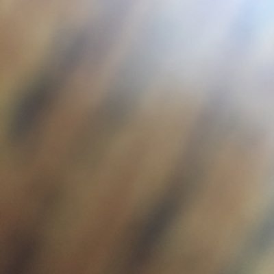 Profile Picture of Ready Now (@CalSnyder1) on Twitter