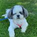 Profile Picture of Deb Howe (@deb.howe.581) on Facebook