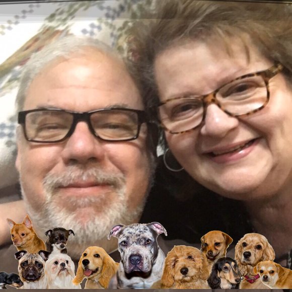 Profile Picture of Dawn Blazis (@dawnblazis) on Poshmark