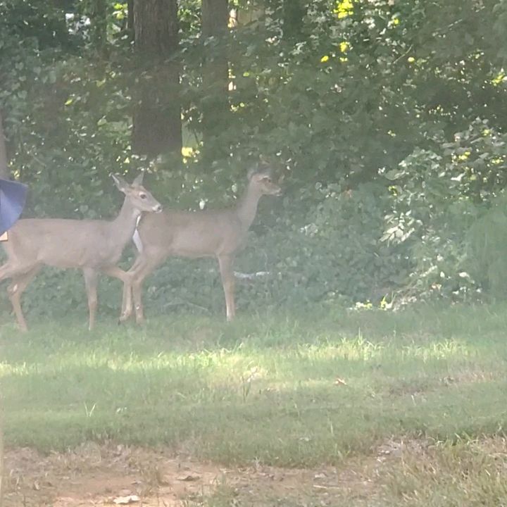 Profile Picture of Janetcass (@janetxoxoxo) on Tiktok