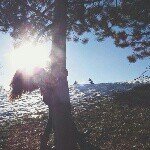 Amber Nicole Pressley ️ - Instagram Profile Picture of Amber Nicole Pressley ️ (@apressley95) on Instagram