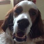 Profile Picture of Vicki McNab (@vicki_mcnab) on Instagram