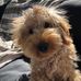 Profile Picture of Kevin Sobieszek (@kevin.sobieszek.3) on Facebook