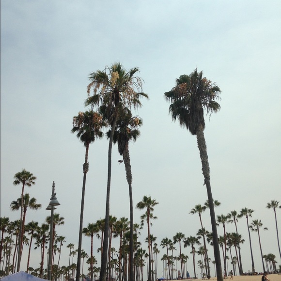 Profile Picture of Ruth Schechtman (@ruthschechtman) on Poshmark