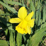 Profile Picture of viktor makosiy (@vityokm) on Instagram