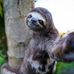 Profile Picture of Jean Durocher (@jean.durocher.77) on Facebook