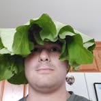 Profile Picture of Nicholas Clarke (@Nicholas-Clarke) on Facebook