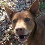 Profile Picture of Bobbie Mariposa (@lavender72004) on Instagram