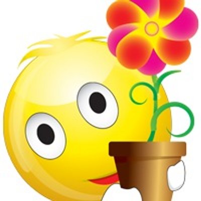 Profile Picture of Terri Decker (@sfpeacebaby) on Twitter