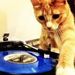 Profile Picture of Alexandre HAYEK (@ahayek0277) on Pinterest