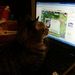 Profile Picture of Cheryl Simonis (@kanmo) on Pinterest