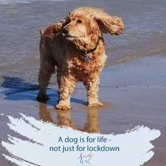 Profile Picture of Michael Ramgrab (@michaelramgrab) on Tiktok