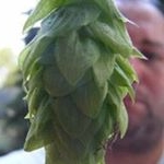 Profile Picture of floydsbbq (@mattcaqelin) on Instagram