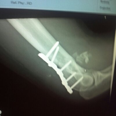 Profile Picture of Jacob Hornsby (@JacobHornsby395) on Twitter