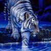 Profile Picture of Brian Silvas105 (@@user174151383) on Tiktok