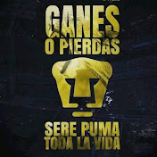 Profile Picture of Armando Peralta (@armandoperalta2862) on Youtube