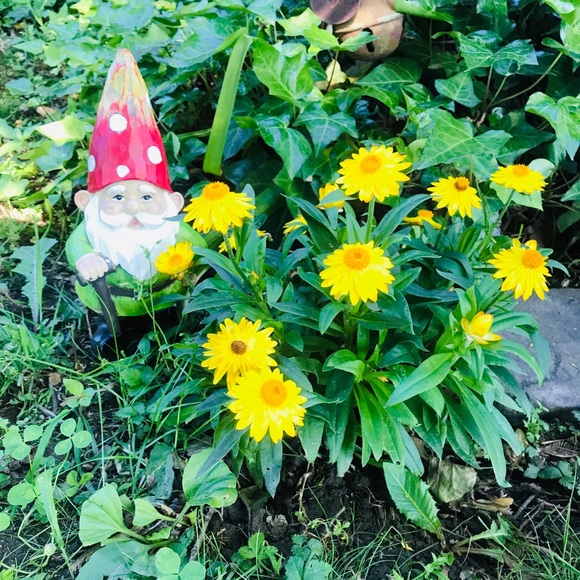 Profile Picture of Jennifer Krypel (@jenella36) on Poshmark