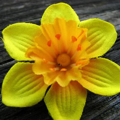 Profile Picture of Shereen Smith (@miss_violet1012) on Twitter