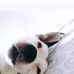 Profile Picture of Carlos Pepen (@carlos.pepen.71) on Facebook
