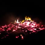 Profile Picture of Neil Littlejohn (@neil.littlejohn.2025) on Facebook