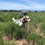 cendrick calloway - Instagram Profile Picture of cendrick calloway (@cendrickcalloway) on Instagram